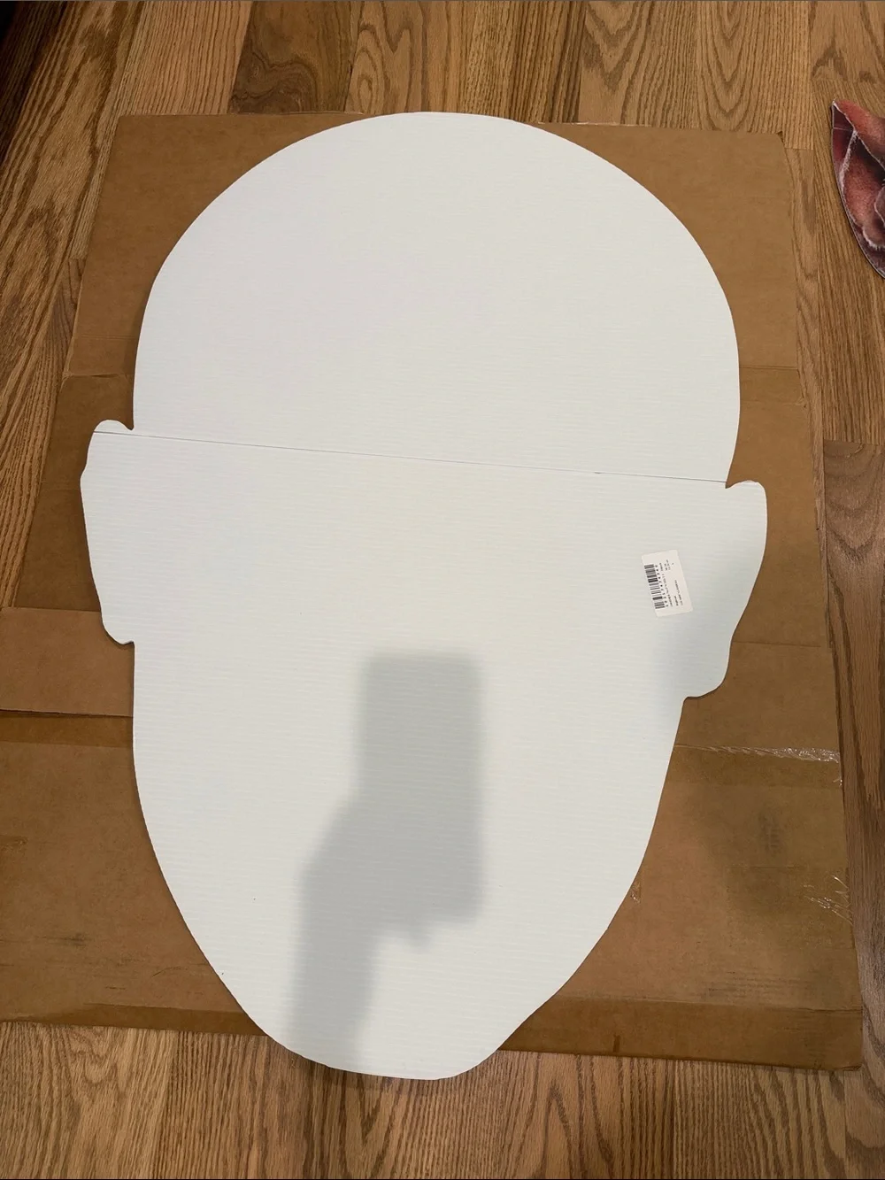 WWE big head party decor/room decor (price is for both 2 for $60)